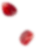 organic-lay-back-1.png