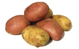 Papa Consumo Kilo