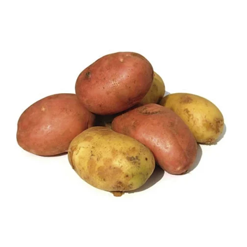 Papa Consumo Kilo