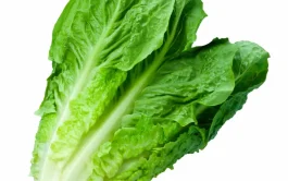 Lechuga Costina Unidad
