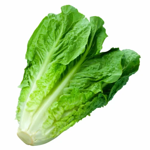 Lechuga Costina Unidad