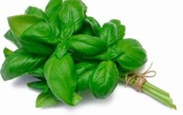Albahaca Mata 125 Gramos