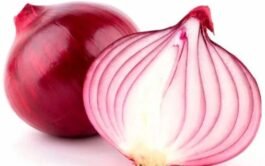 Cebolla Morada kilo