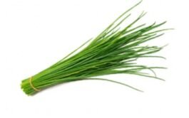 Ciboulette 30 Gramos