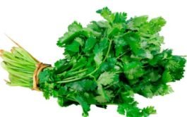 Cilantro 125 Gramos