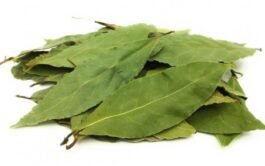 Laurel Natural 10 Gramos