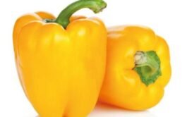 Pimiento Amarillo Unidad