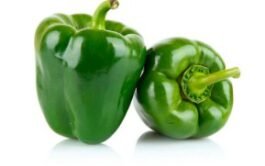 Pimiento verde Unidad