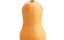 Zapallo Butternut Unidad
